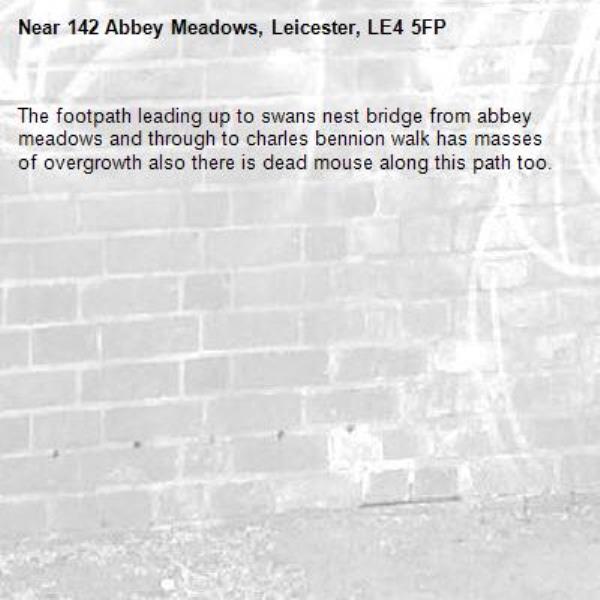The footpath leading up to swans nest bridge from abbey meadows and through to charles bennion walk has masses of overgrowth also there is dead mouse along this path too.-142 Abbey Meadows, Leicester, LE4 5FP