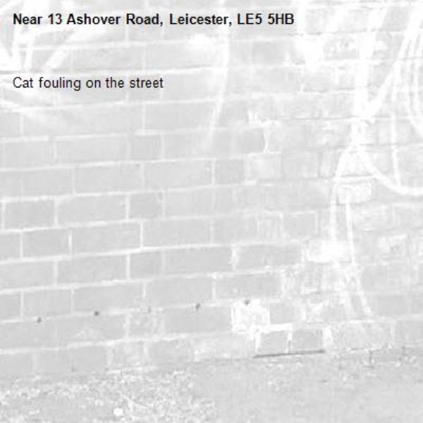 Cat fouling on the street-13 Ashover Road, Leicester, LE5 5HB