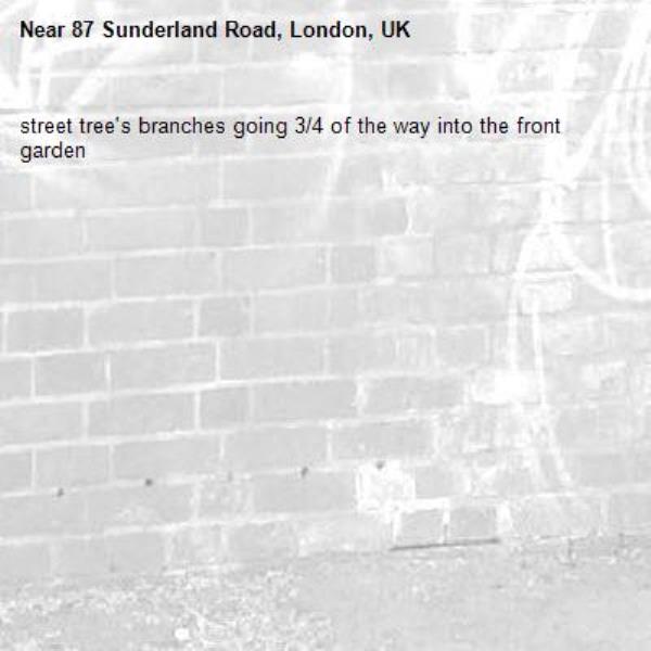 street tree's branches going 3/4 of the way into the front garden -87 Sunderland Road, London, UK