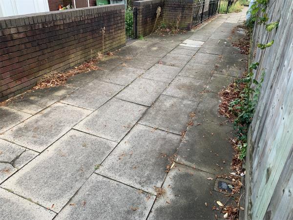 This open space has not been regularly cleaned for many months.  Rubbish and litter is accumulating.-62 Ashton Road, Stratford, London, E15 1DP