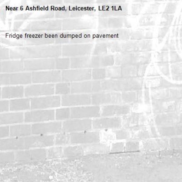 Fridge freezer been dumped on pavement -6 Ashfield Road, Leicester, LE2 1LA