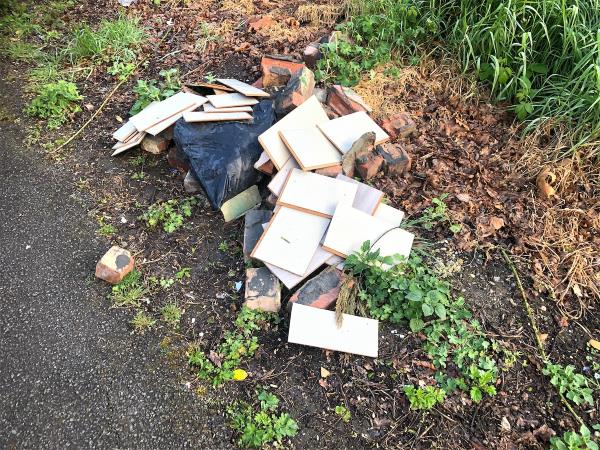 Please clear flytip waste from verge to side of Approach road-Beckenham Hill Station Approach, London