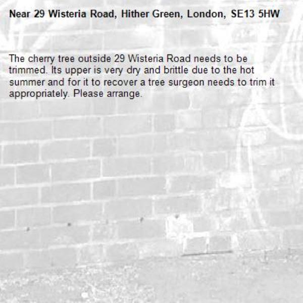 The cherry tree outside 29 Wisteria Road needs to be trimmed. Its upper is very dry and brittle due to the hot summer and for it to recover a tree surgeon needs to trim it appropriately. Please arrange. -29 Wisteria Road, Hither Green, London, SE13 5HW