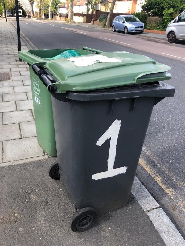 Bins not emptied as other people putting stuff in them, I presume. Please collect asap -217A, Baring Road, London, SE12 0PZ