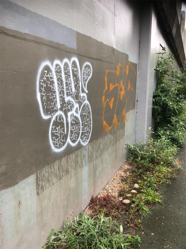 Remove graffiti from side of Docklands Railway viaduct-Broadway Fields