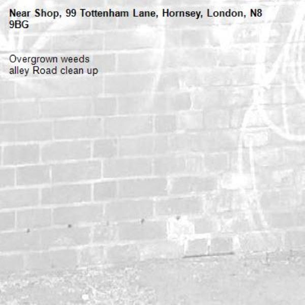 Overgrown weeds 
alley Road clean up -Shop, 99 Tottenham Lane, Hornsey, London, N8 9BG