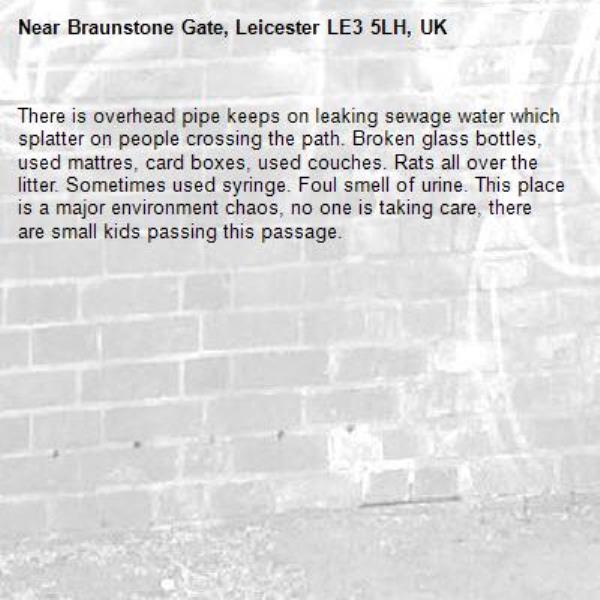There is overhead pipe keeps on leaking sewage water which splatter on people crossing the path. Broken glass bottles, used mattres, card boxes, used couches. Rats all over the litter. Sometimes used syringe. Foul smell of urine. This place is a major environment chaos, no one is taking care, there are small kids passing this passage. -Braunstone Gate, Leicester LE3 5LH, UK