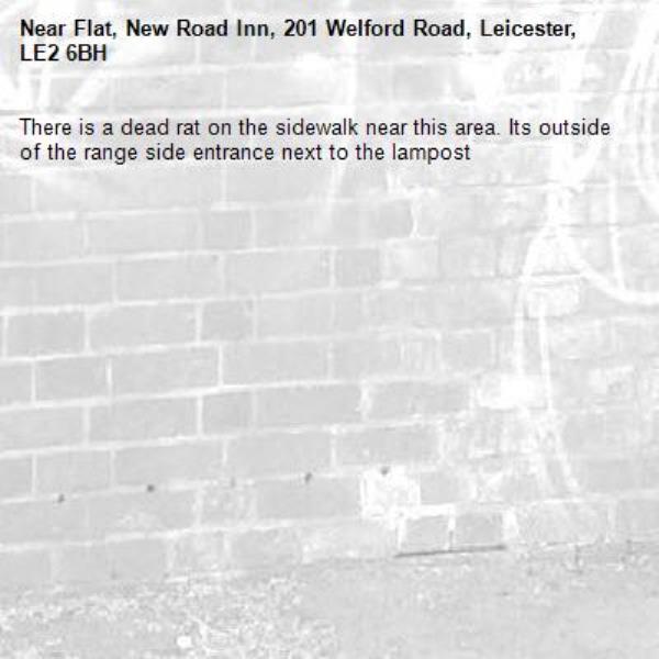 There is a dead rat on the sidewalk near this area. Its outside of the range side entrance next to the lampost-Flat, New Road Inn, 201 Welford Road, Leicester, LE2 6BH
