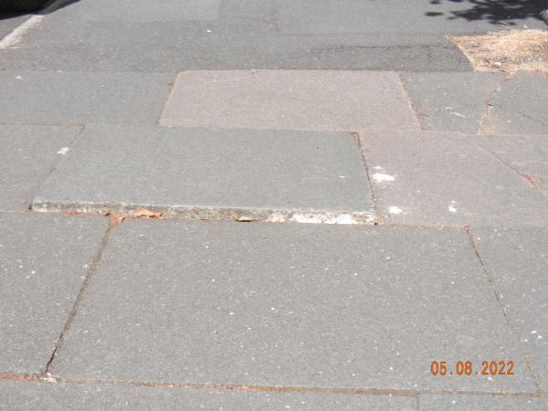 Paving slab pushed up by tree root, sticking up well over an inch, stumbled on this today, this requires attention, outside of  82 Letchworth road.-82 Letchworth Road, Leicester, LE3 6FJ