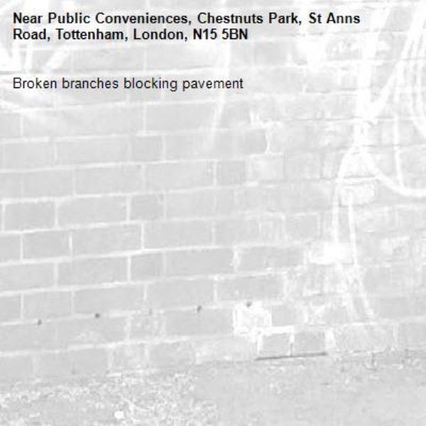 Broken branches blocking pavement -Public Conveniences, Chestnuts Park, St Anns Road, Tottenham, London, N15 5BN