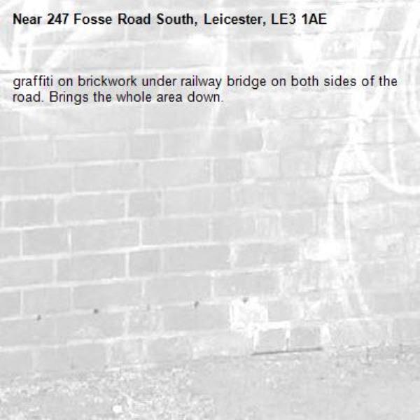 graffiti on brickwork under railway bridge on both sides of the road. Brings the whole area down.-247 Fosse Road South, Leicester, LE3 1AE