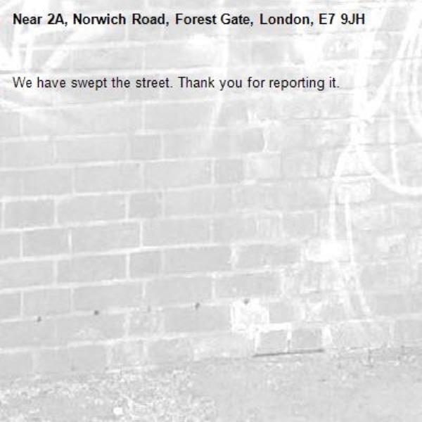 We have swept the street. Thank you for reporting it.-2A, Norwich Road, Forest Gate, London, E7 9JH