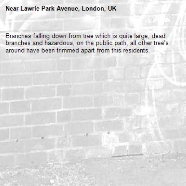 Branches falling down from tree which is quite large, dead branches and hazardous, on the public path, all other tree's around have been trimmed apart from this residents.-Lawrie Park Avenue, London, UK