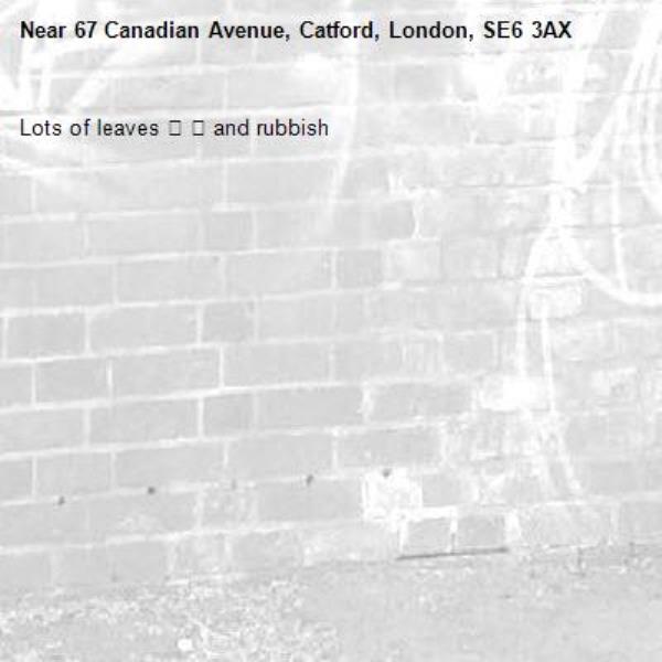 Lots of leaves 🍃 🍂 and rubbish -67 Canadian Avenue, Catford, London, SE6 3AX