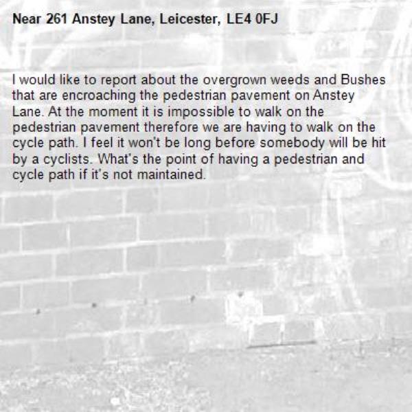 I would like to report about the overgrown weeds and Bushes that are encroaching the pedestrian pavement on Anstey Lane. At the moment it is impossible to walk on the pedestrian pavement therefore we are having to walk on the cycle path. I feel it won't be long before somebody will be hit by a cyclists. What's the point of having a pedestrian and cycle path if it's not maintained.-261 Anstey Lane, Leicester, LE4 0FJ
