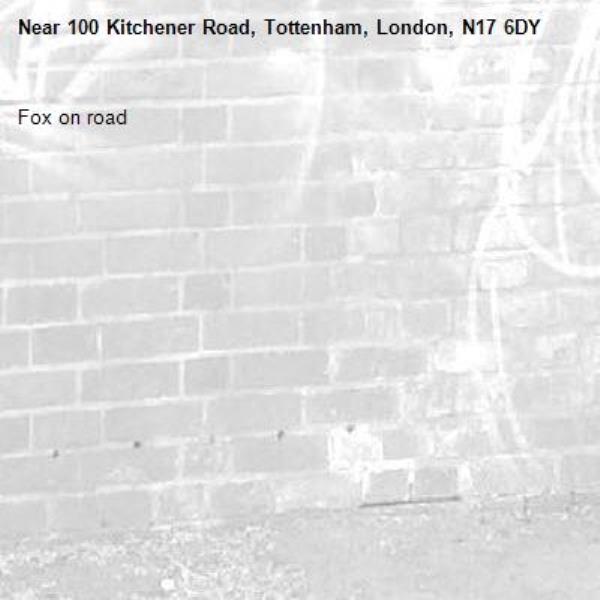 Fox on road-100 Kitchener Road, Tottenham, London, N17 6DY
