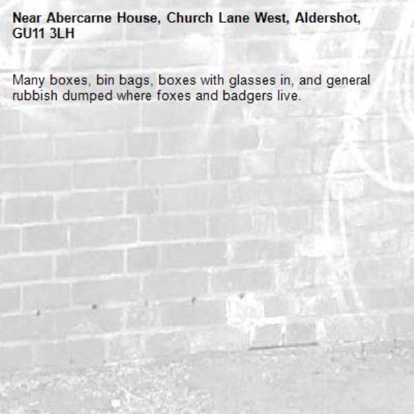 Many boxes, bin bags, boxes with glasses in, and general rubbish dumped where foxes and badgers live. -Abercarne House, Church Lane West, Aldershot, GU11 3LH