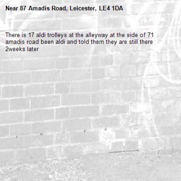 There is 17 aldi trolleys at the alleyway at the side of 71 amadis road been aldi and told them they are still there 2weeks later-87 Amadis Road, Leicester, LE4 1DA