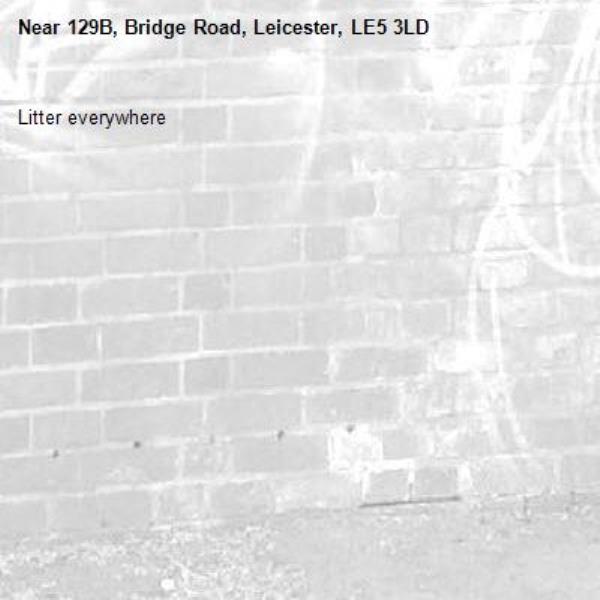 Litter everywhere-129B, Bridge Road, Leicester, LE5 3LD