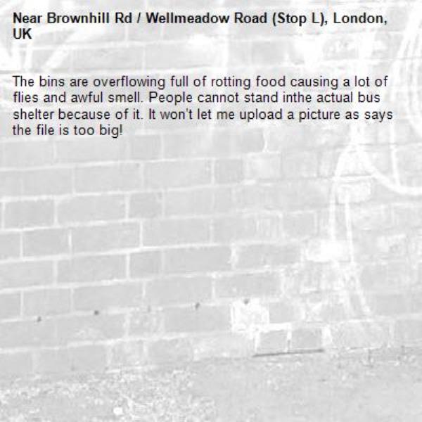 The bins are overflowing full of rotting food causing a lot of flies and awful smell. People cannot stand inthe actual bus shelter because of it. It won’t let me upload a picture as says the file is too big! -Brownhill Rd / Wellmeadow Road (Stop L), London, UK