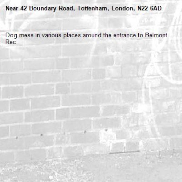 Dog mess in various places around the entrance to Belmont Rec-42 Boundary Road, Tottenham, London, N22 6AD
