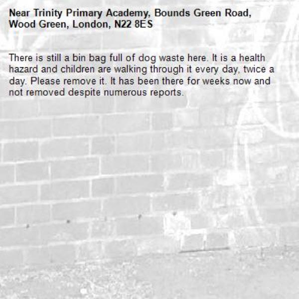 There is still a bin bag full of dog waste here. It is a health hazard and children are walking through it every day, twice a day. Please remove it. It has been there for weeks now and not removed despite numerous reports.-Trinity Primary Academy, Bounds Green Road, Wood Green, London, N22 8ES