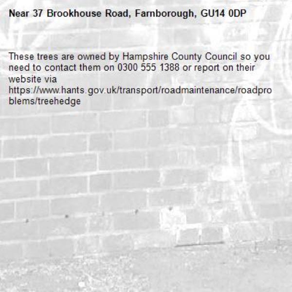 These trees are owned by Hampshire County Council so you need to contact them on 0300 555 1388 or report on their website via https://www.hants.gov.uk/transport/roadmaintenance/roadproblems/treehedge -37 Brookhouse Road, Farnborough, GU14 0DP