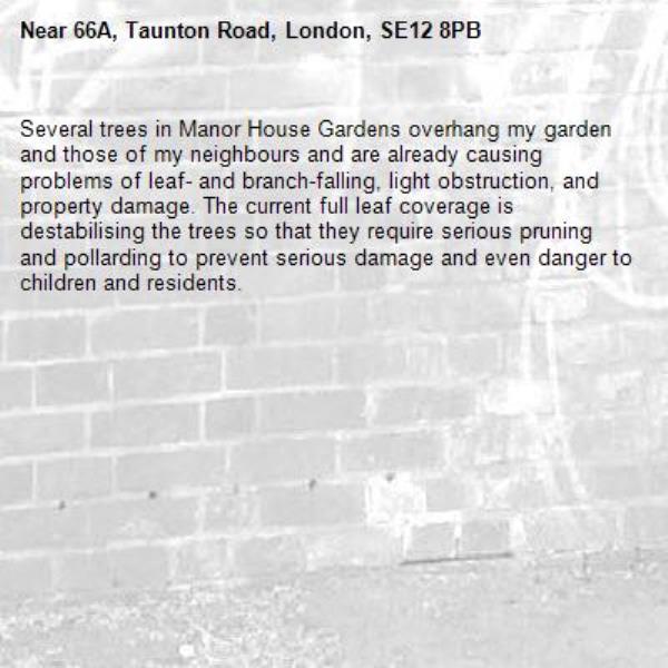 Several trees in Manor House Gardens overhang my garden and those of my neighbours and are already causing problems of leaf- and branch-falling, light obstruction, and property damage. The current full leaf coverage is destabilising the trees so that they require serious pruning and pollarding to prevent serious damage and even danger to children and residents.-66A, Taunton Road, London, SE12 8PB