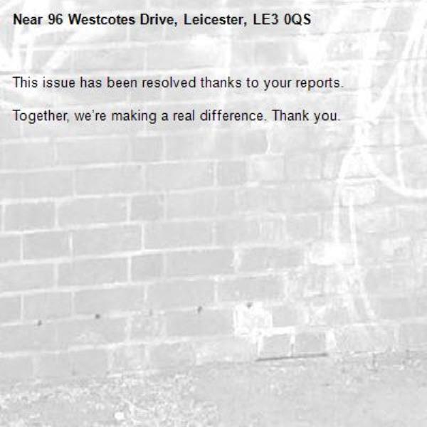 This issue has been resolved thanks to your reports.

Together, we’re making a real difference. Thank you.
-96 Westcotes Drive, Leicester, LE3 0QS