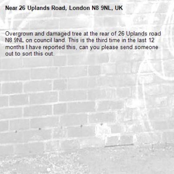 Overgrown and damaged tree at the rear of 26 Uplands road N8 9NL on council land. This is the third time in the last 12 months I have reported this, can you please send someone out to sort this out.-26 Uplands Road, London N8 9NL, UK