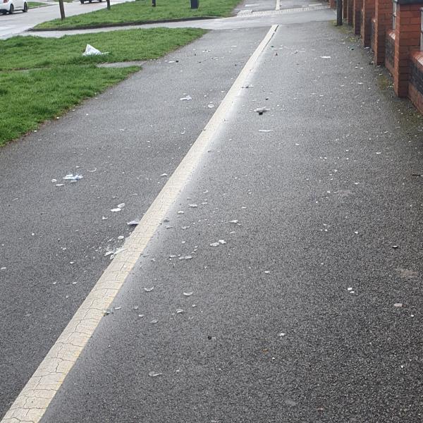 Smashed glass all over the pavement.-24 Folville Rise, Leicester, LE3 1EE