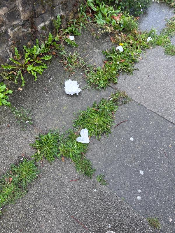 Litter- polystyrene strewn on Winlaton road-30 Winlaton Road, Bromley, BR1 5PY