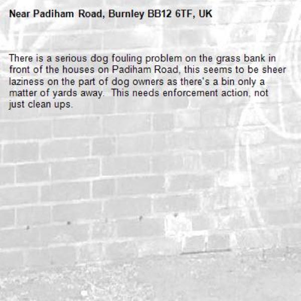 There is a serious dog fouling problem on the grass bank in front of the houses on Padiham Road, this seems to be sheer laziness on the part of dog owners as there&#39;s a bin only a matter of yards away.  This needs enforcement action, not just clean ups.-Padiham Road, Burnley BB12 6TF, UK