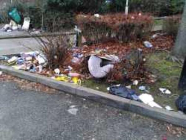 Halfords Car Park,  please clear  flytipped rubbish. -7 CATFORD, London, SE6 4NU