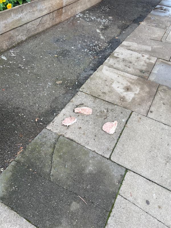 Discarded meat and bird poo on the ground -103A, Station Road, Forest Gate, London, E7 0AE