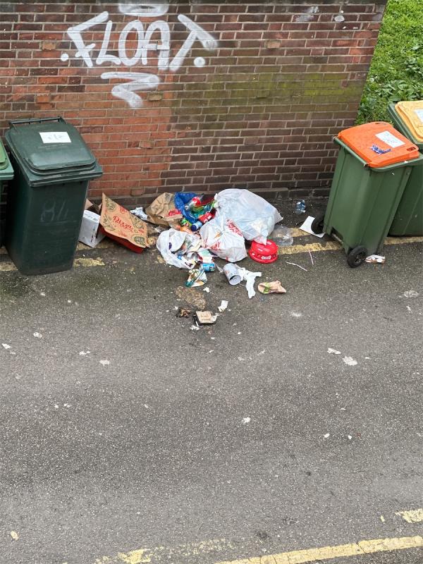Please send someone to clean this -10 Aldersbrook Lane, Manor Park, London, E12 5LG