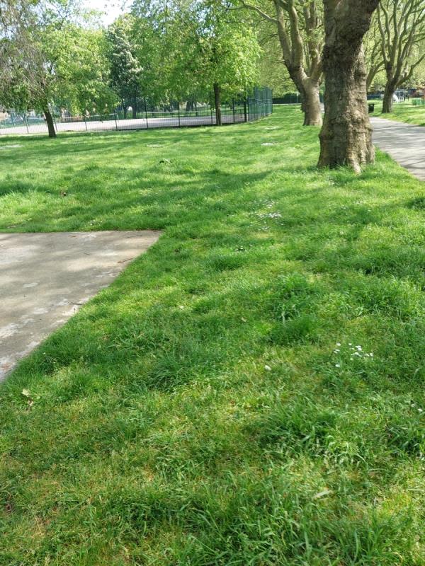 Can the council arrange to have the grass cut  in Beckton  Park  off Savage  Gardens  Beckton. As you can see from the photo it is all  overgrown  and  due for  cutting. Thanks -102 Savage Gardens, Beckton, London, E6 5PU