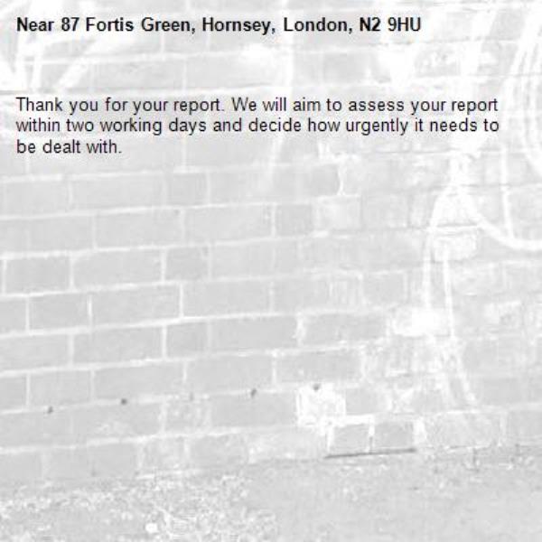 Thank you for your report. We will aim to assess your report within two working days and decide how urgently it needs to be dealt with.-87 Fortis Green, Hornsey, London, N2 9HU