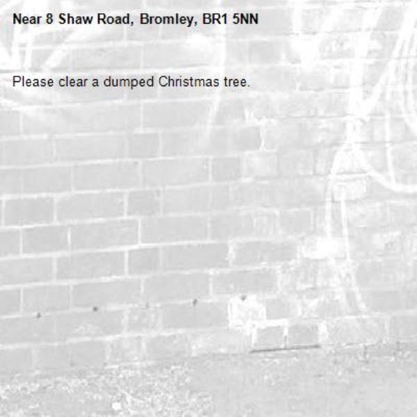 Please clear a dumped Christmas tree. -8 Shaw Road, Bromley, BR1 5NN