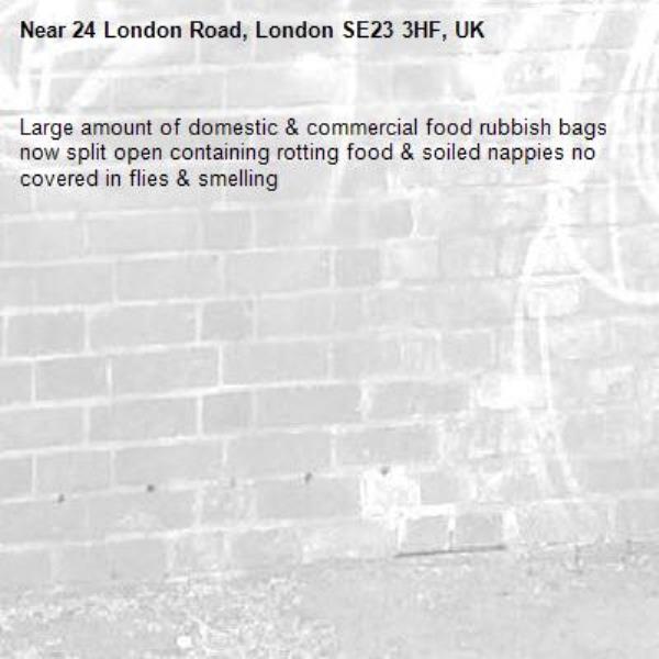 Large amount of domestic & commercial food rubbish bags now split open containing rotting food & soiled nappies no covered in flies & smelling -24 London Road, London SE23 3HF, UK