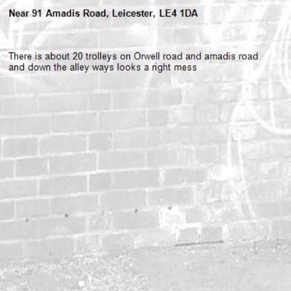 There is about 20 trolleys on Orwell road and amadis road and down the alley ways looks a right mess-91 Amadis Road, Leicester, LE4 1DA