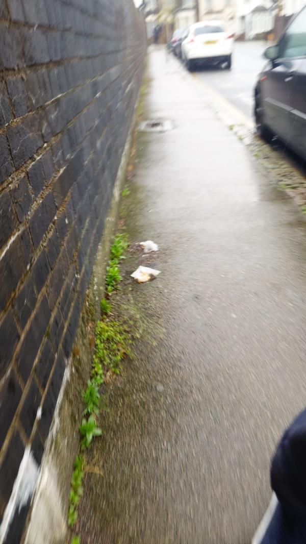 Human poo and toilet roll on path.-Flat 1, 16 Manbey Park Road, Stratford, London, E15 1EY