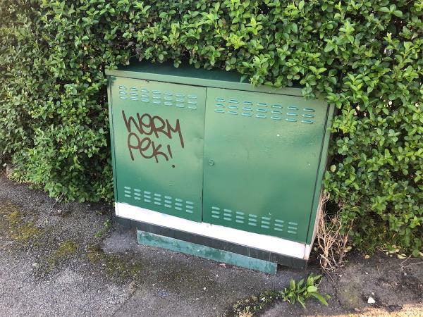 Junction of Evans Road. Remove graffiti from cable box-180 Waters Road, London, SE6 1UH