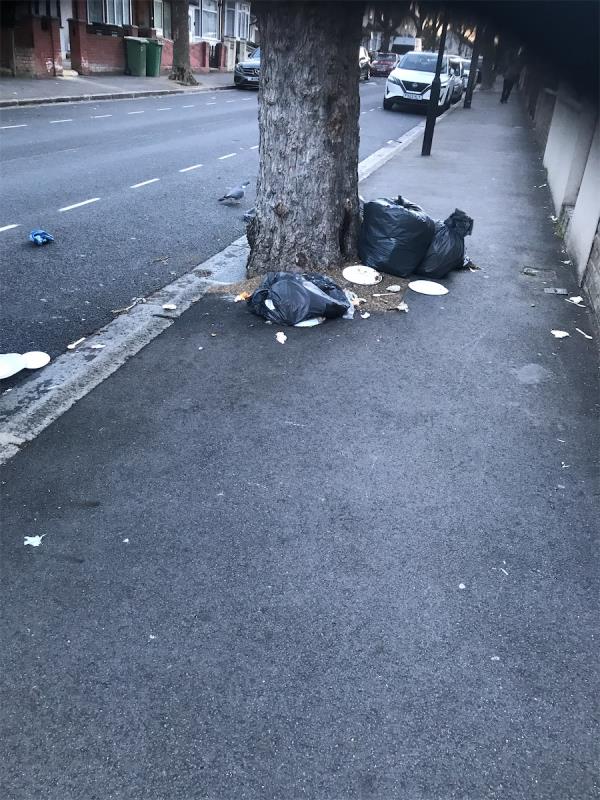 Rubbish dumped by tree -223 Lathom Road, East Ham, London, E6 2DZ