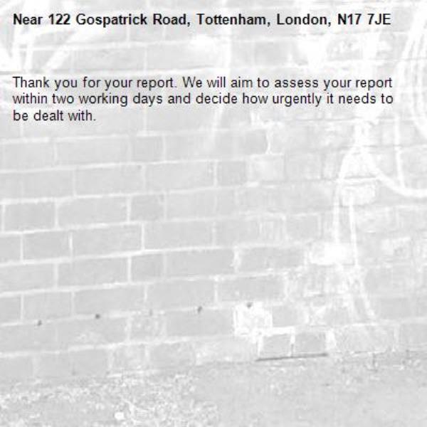 Thank you for your report. We will aim to assess your report within two working days and decide how urgently it needs to be dealt with.-122 Gospatrick Road, Tottenham, London, N17 7JE
