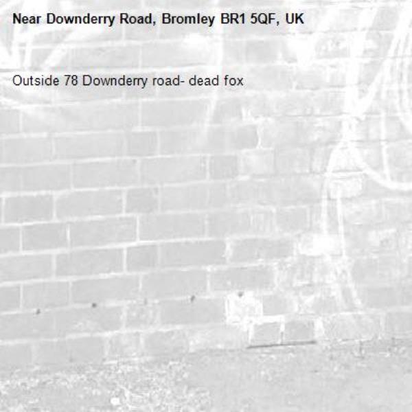 Outside 78 Downderry road- dead fox-Downderry Road, Bromley BR1 5QF, UK