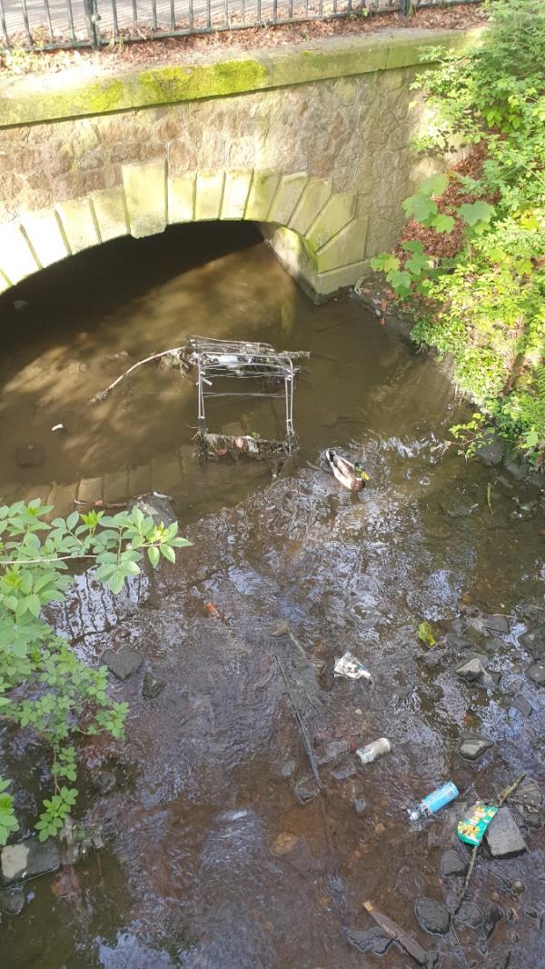 Wildlife sharing brook with laundry airer and other litter-Imperial Avenue, Leicester