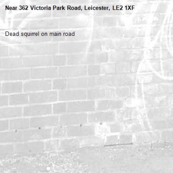 Dead squirrel on main road-362 Victoria Park Road, Leicester, LE2 1XF