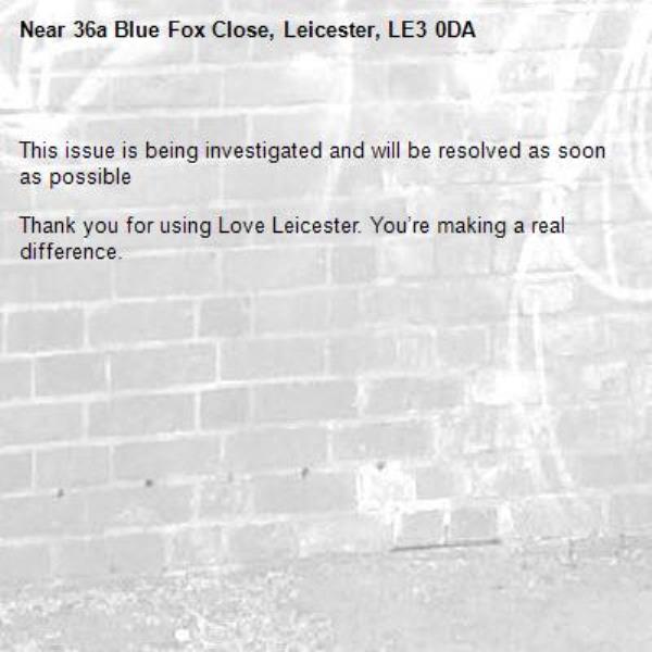 
This issue is being investigated and will be resolved as soon as possible

Thank you for using Love Leicester. You’re making a real difference.

-36a Blue Fox Close, Leicester, LE3 0DA