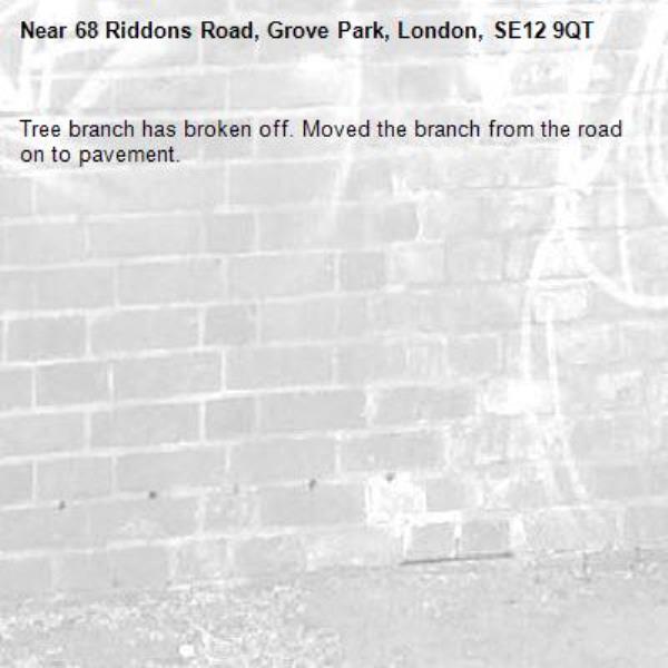 Tree branch has broken off. Moved the branch from the road on to pavement. -68 Riddons Road, Grove Park, London, SE12 9QT
